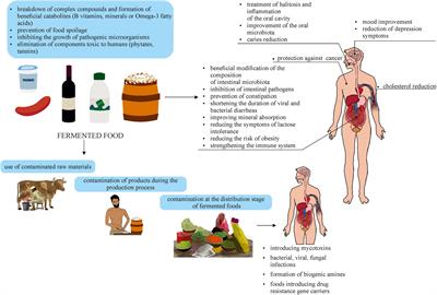 Two Faces of Fermented Foods—The Benefits and Threats of Its Consumption